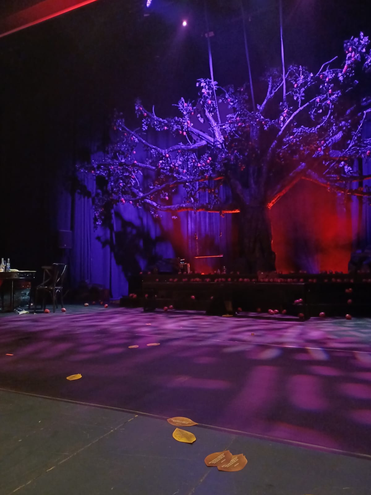 Aşk Biter mi? Görsel 3